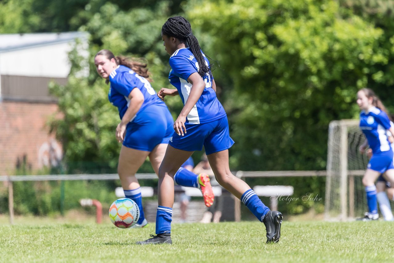 Bild 55 - wBJ VfL Pinneberg - Harksheide : Ergebnis: 2:1